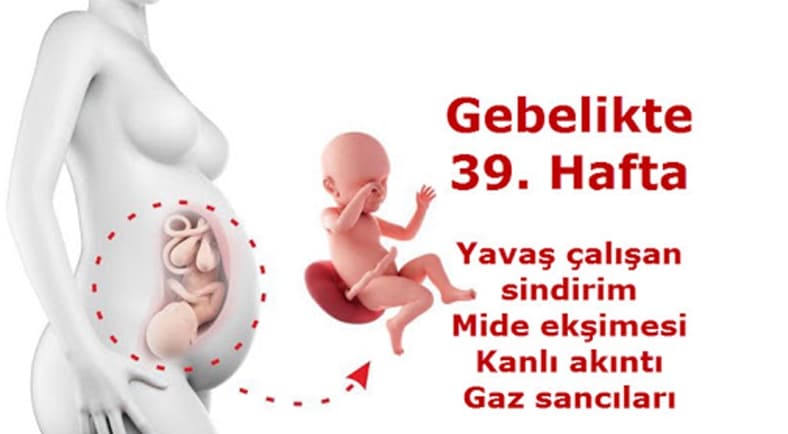 hamilelikte 39 haftalik gebelik bebek kilosu kadinlar kulubu kadinlar kulubu